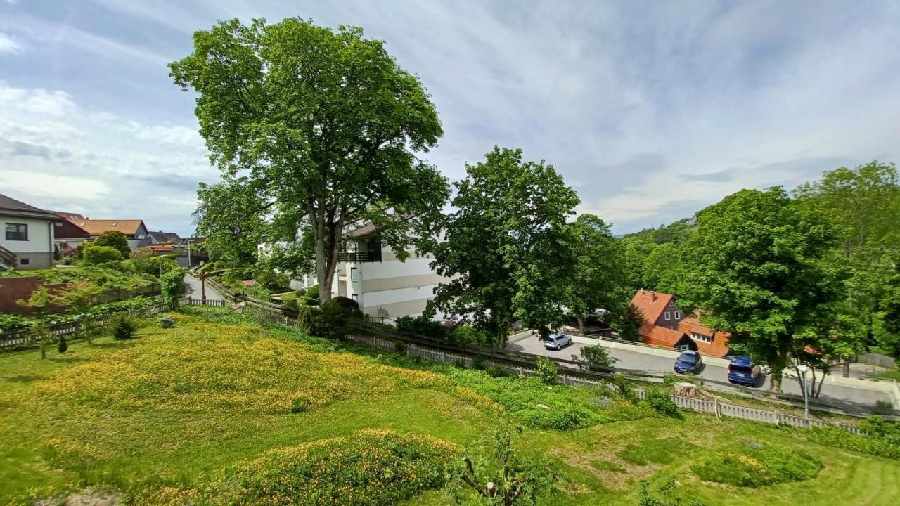 Harz-Huette - Schnuckelig Fewo In St. Andreasberg Sankt Andreasberg Exteriör bild
